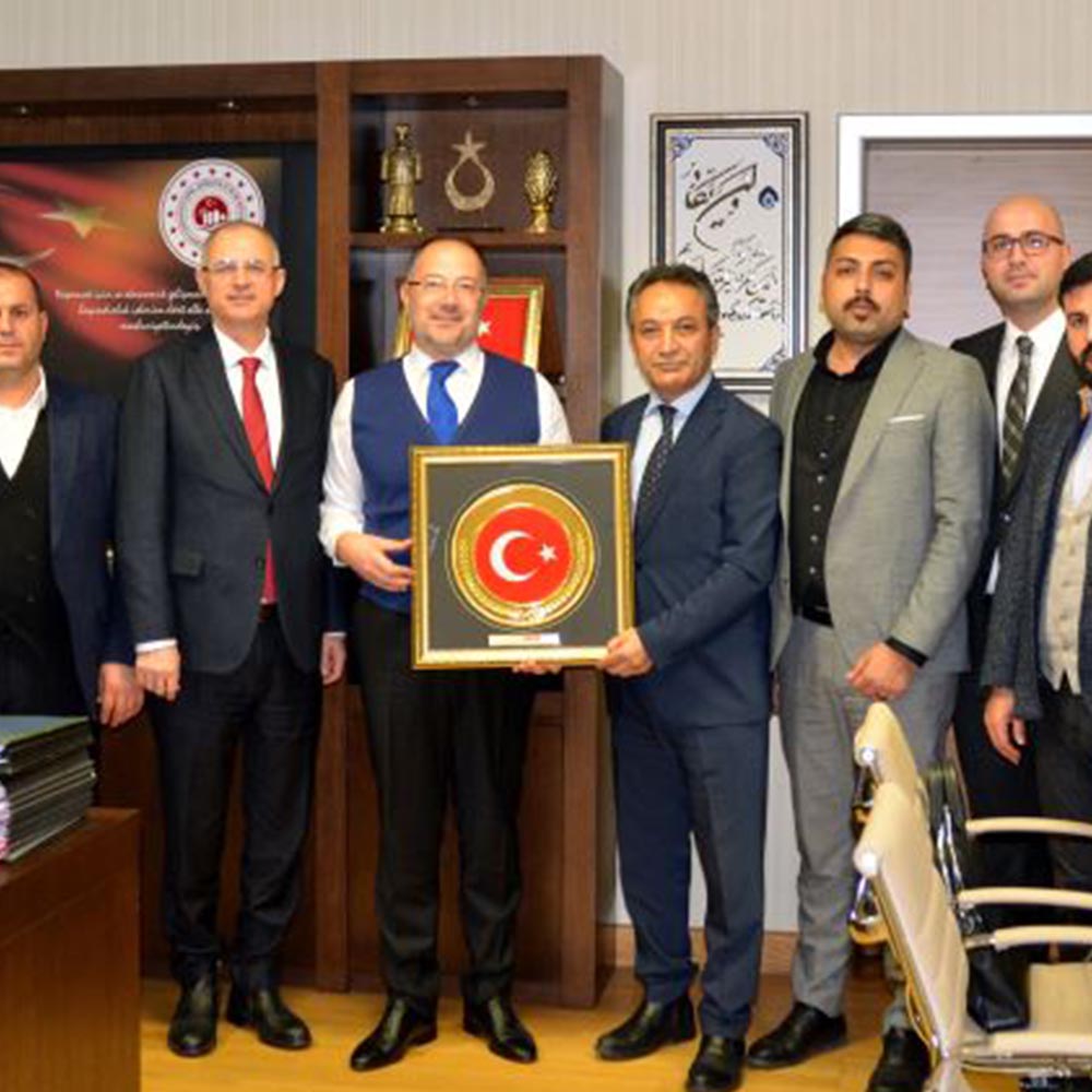 DAİMFED 2